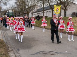 Faschingszug Diesenbach 2025_34